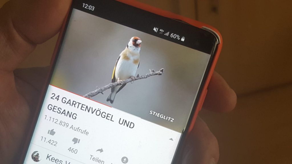 Apps für Vogelstimmen am Smartphone helfen dabei, mit der Zeit den Vogelstimmen im Garten und im Wald den richtigen Sänger zuzuordnen. Das bringt eine neue Genussqualität ins Hören bzw. Hinhören.